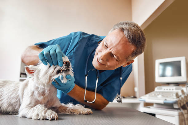 Best Emergency Treatment for Dental Infections or Abscesses in Hightstown, NJ